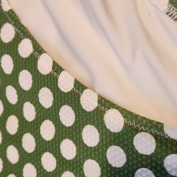 Aerie High Waisted Full Coverage Bikini Bottoms Green with White Polka Dots XXL - Picture 7 of 7